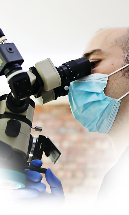 Dental Microscope